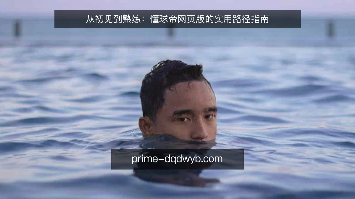 从初见到熟练：懂球帝网页版的实用路径指南
